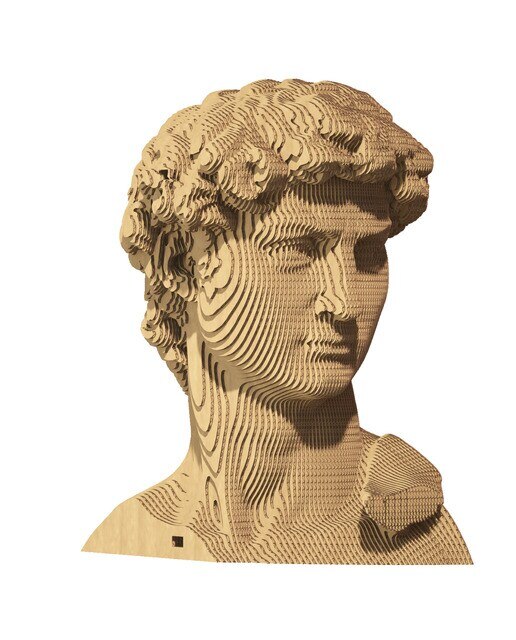 Maquetes de Cartão Cartonic David 4