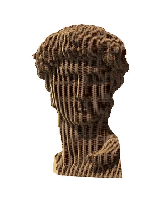 Maquetes de Cartão Cartonic David 5