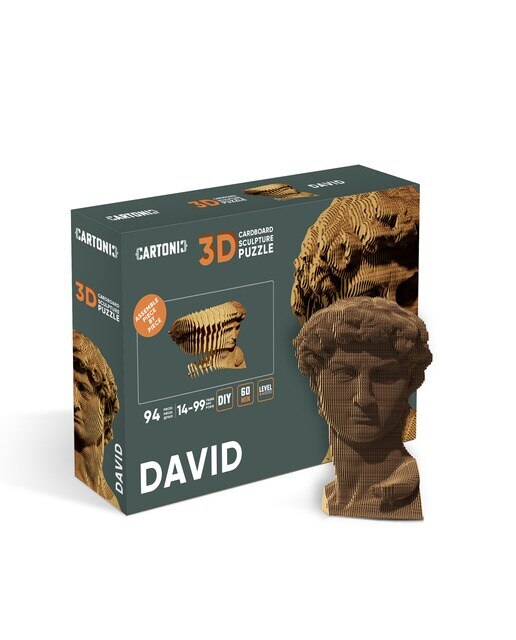 Maquetes de Cartão Cartonic David 6