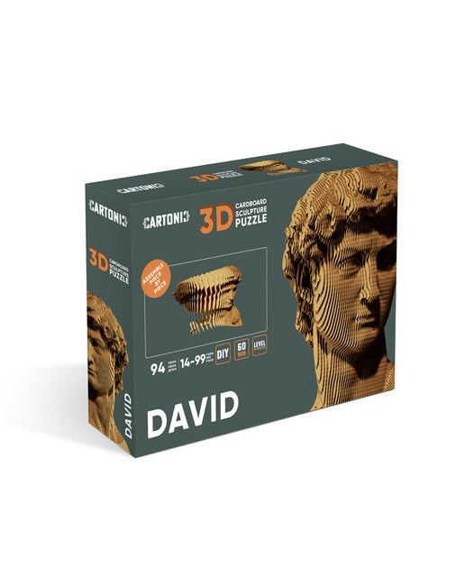 Maquetes de Cartão Cartonic David 7