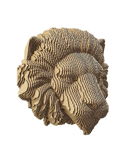 Maquetes de Cartão Cartonic Lion 1