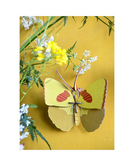Mural em 3D Studio roof borboleta amarela 2
