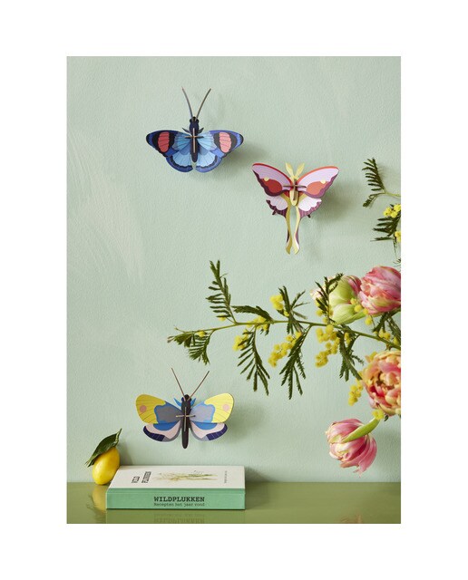 Mural em 3D Studio roof borboleta papagaio lilás 2