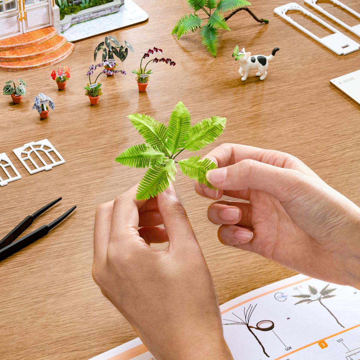 Maquetas de Madera Rolife Oxygen Oasis 6