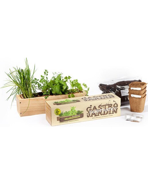 Kit de siembra aromáticas del Mediterráneo