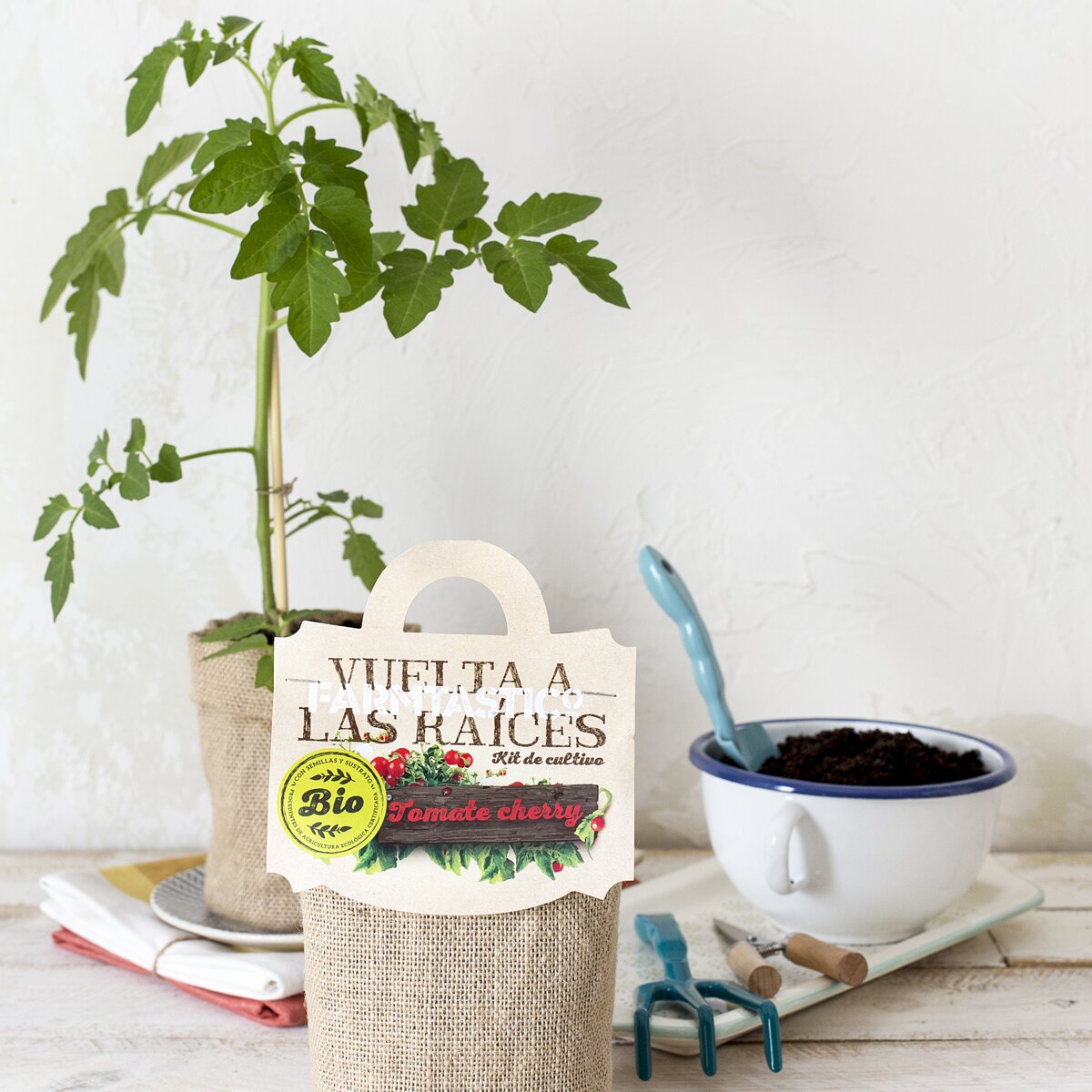 Kit de Semeadura Gastrojardín Vuelta a las Raíces Tomate Cherry 3