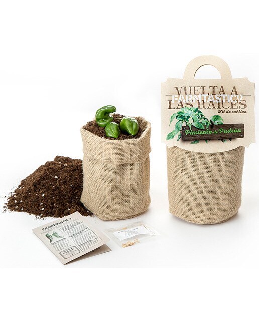 Kit de Siembra Gastrojardín Vuelta a las Raíces Pimiento de Padrón