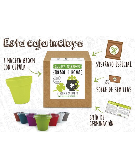 Kit de Cultivo Trevo 4 Folhas 2