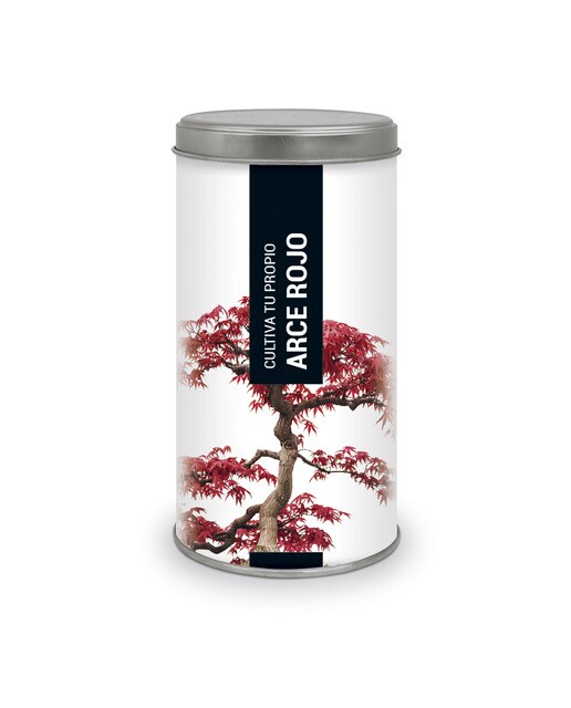 Imagem 0 de Kit de Cultivo o Teu Próprio Ácer Vermelho
