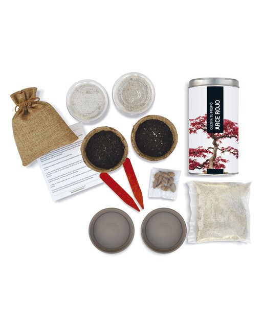 Kit de Cultivo o Teu Próprio Ácer Vermelho 2