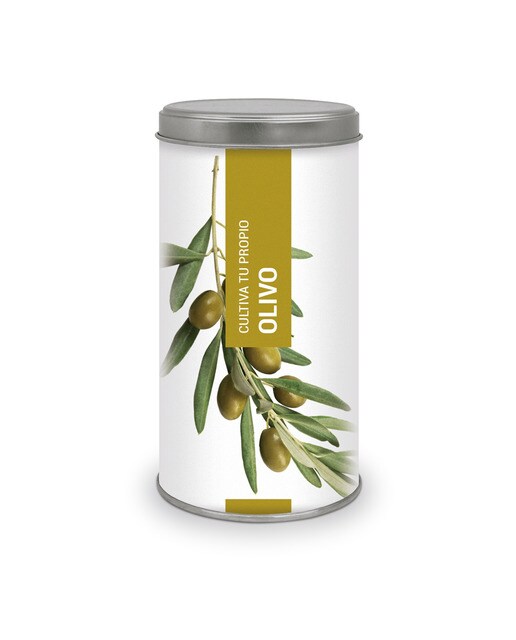 Imagem 0 de Kit de Cultivo a Tua Própria Oliveira