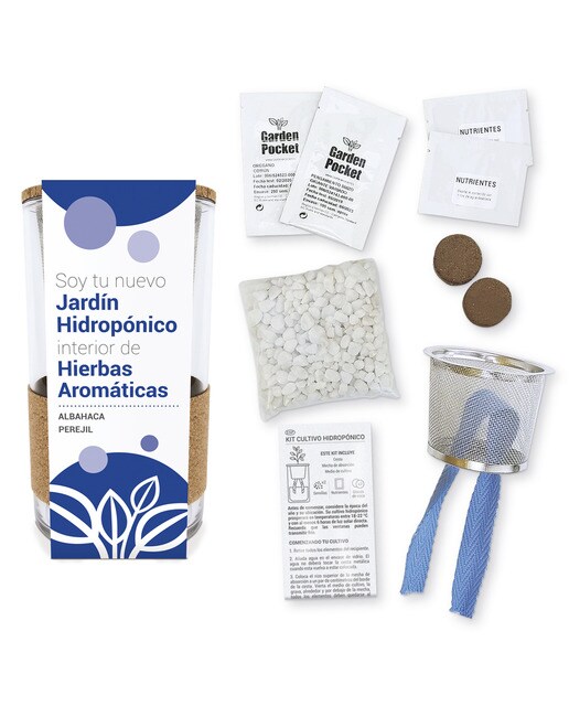 Cultivo Hidropónico Manjericão e Salsa 2