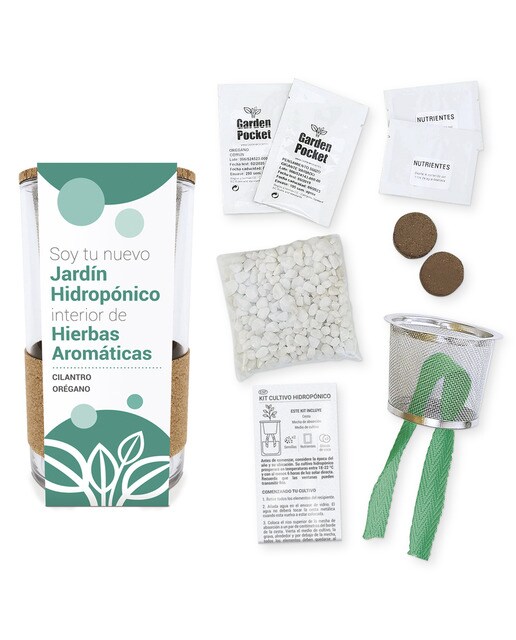 Cultivo Hidropónico Coentros e Orégãos 2