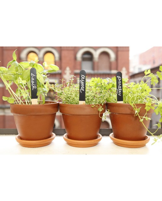 Conjunto de Marcadores para Jardinagem 3