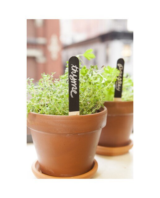 Conjunto de Marcadores para Jardinagem 4