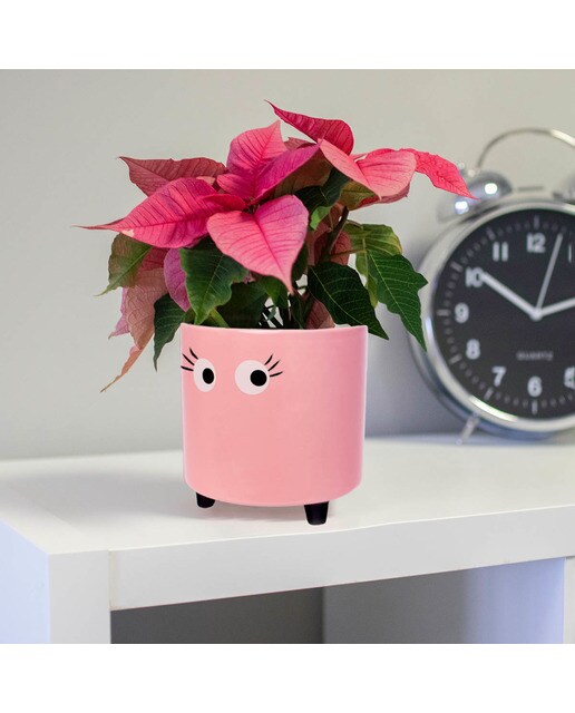 Suporte para Vasos Olhos - Rosa 3