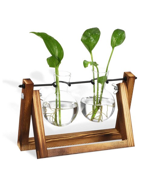 Imagem 0 de Hydra: Estação de Propagação para 2 Plantas