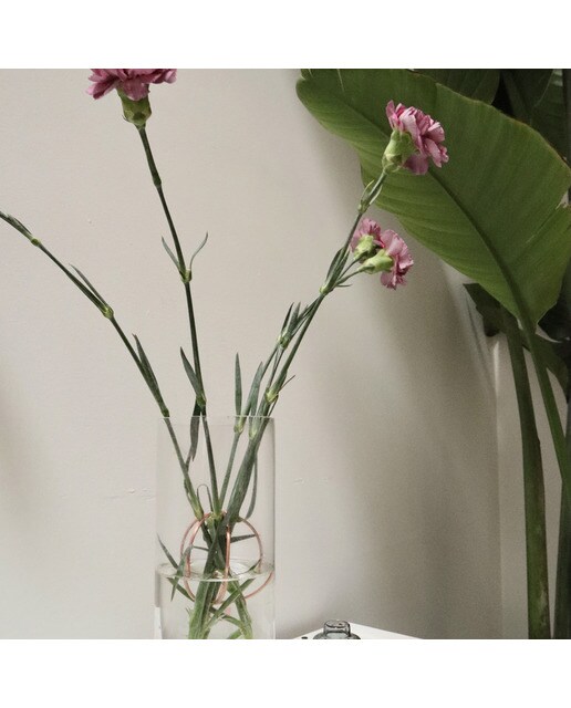 Rãzinha para Flores de Cobre 3
