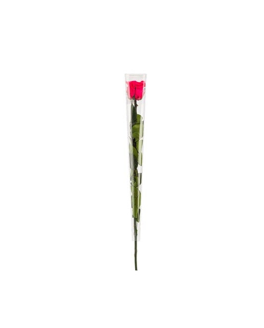 Imagen 1 de Rosa con tallo preservada Naturalys fuchsia