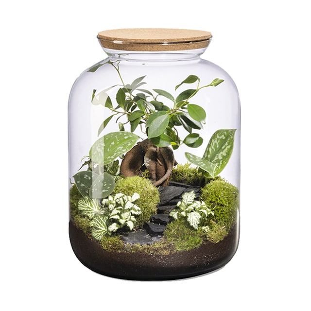 Imagen 0 de Bonbonne Landscape Naturalys S