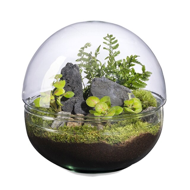 Imagen 0 de Mini Monde Landscape Naturalys M