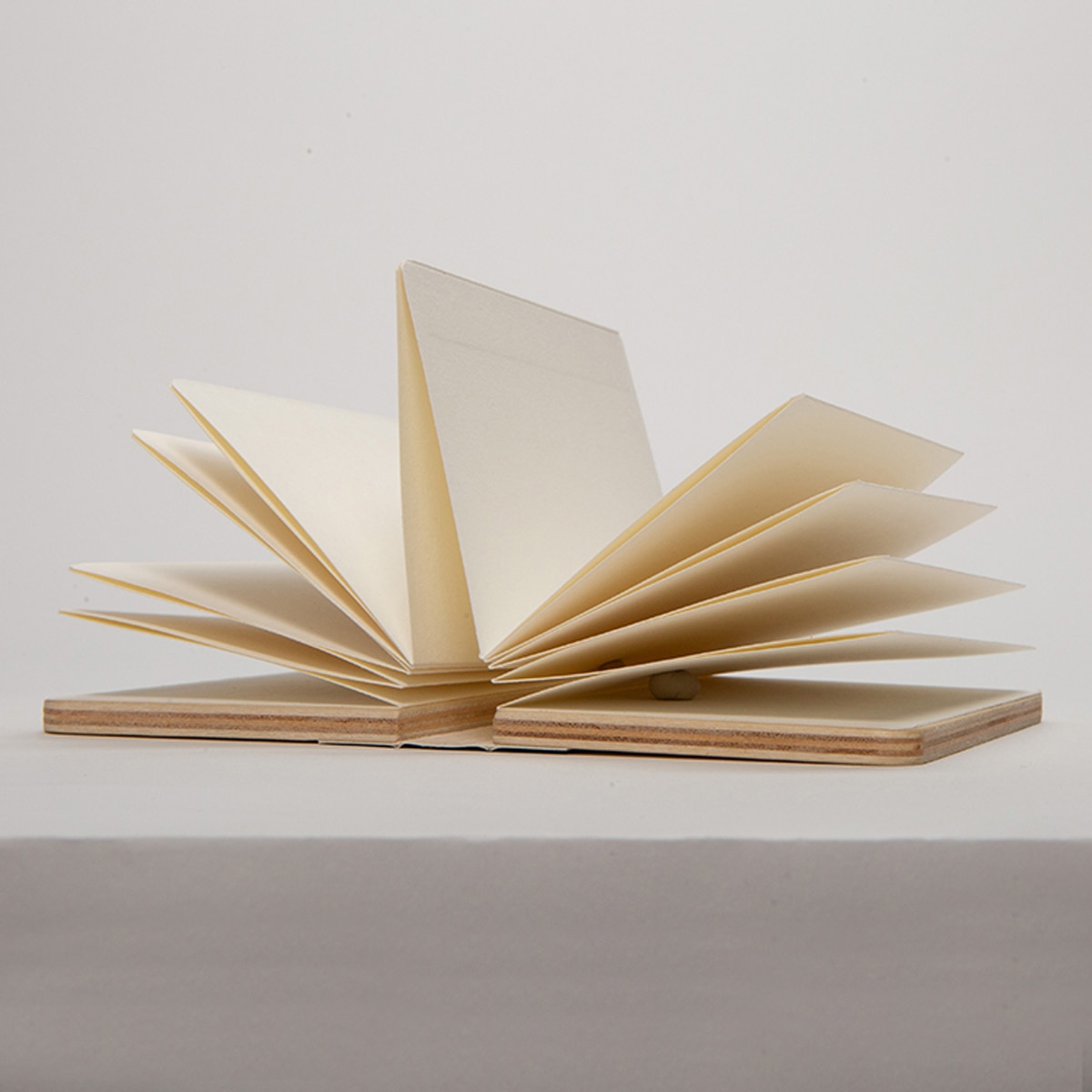 Libro para prensar flores de Kikkerland 3