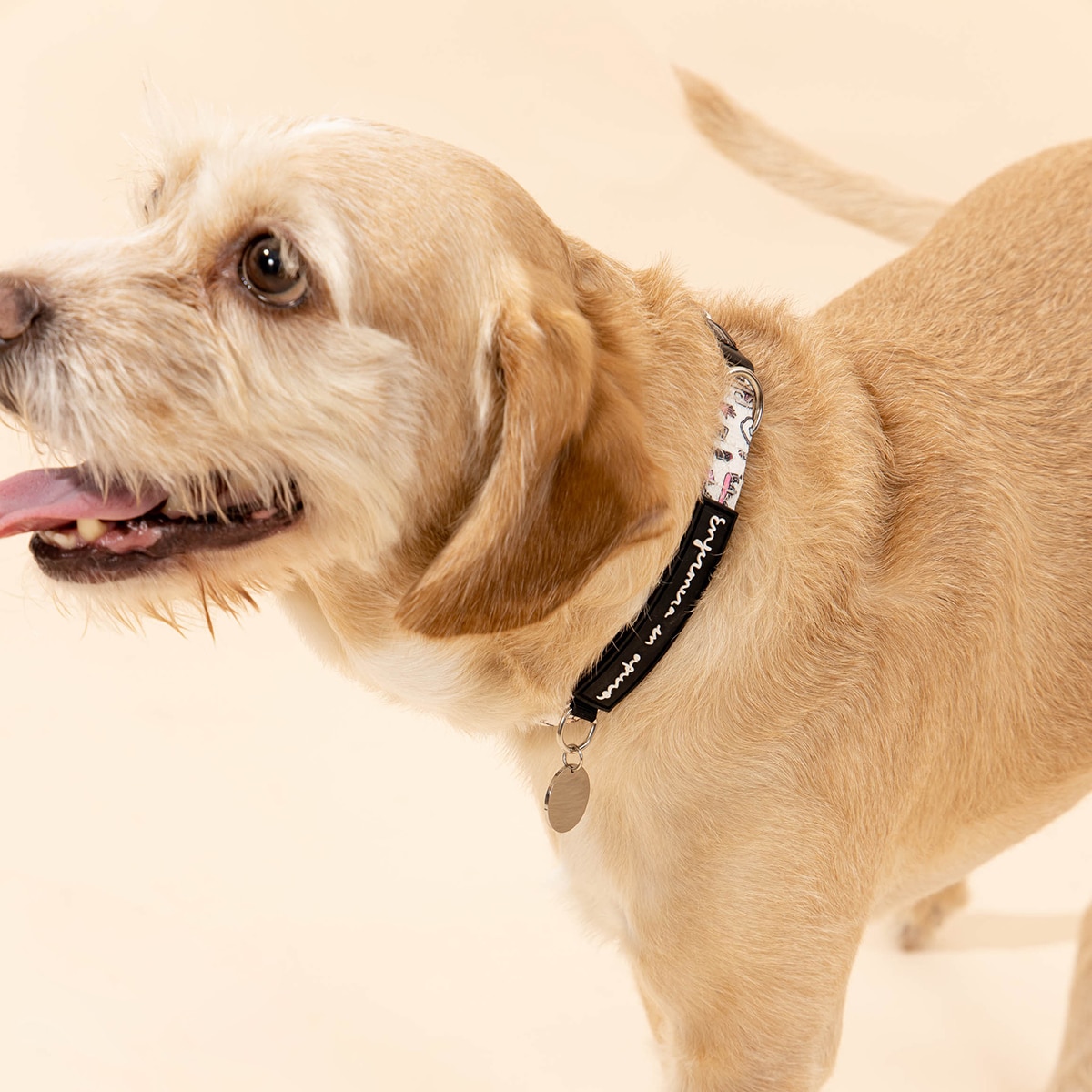 Colar Cão Coisas de enfermeiros Tamanho S 3