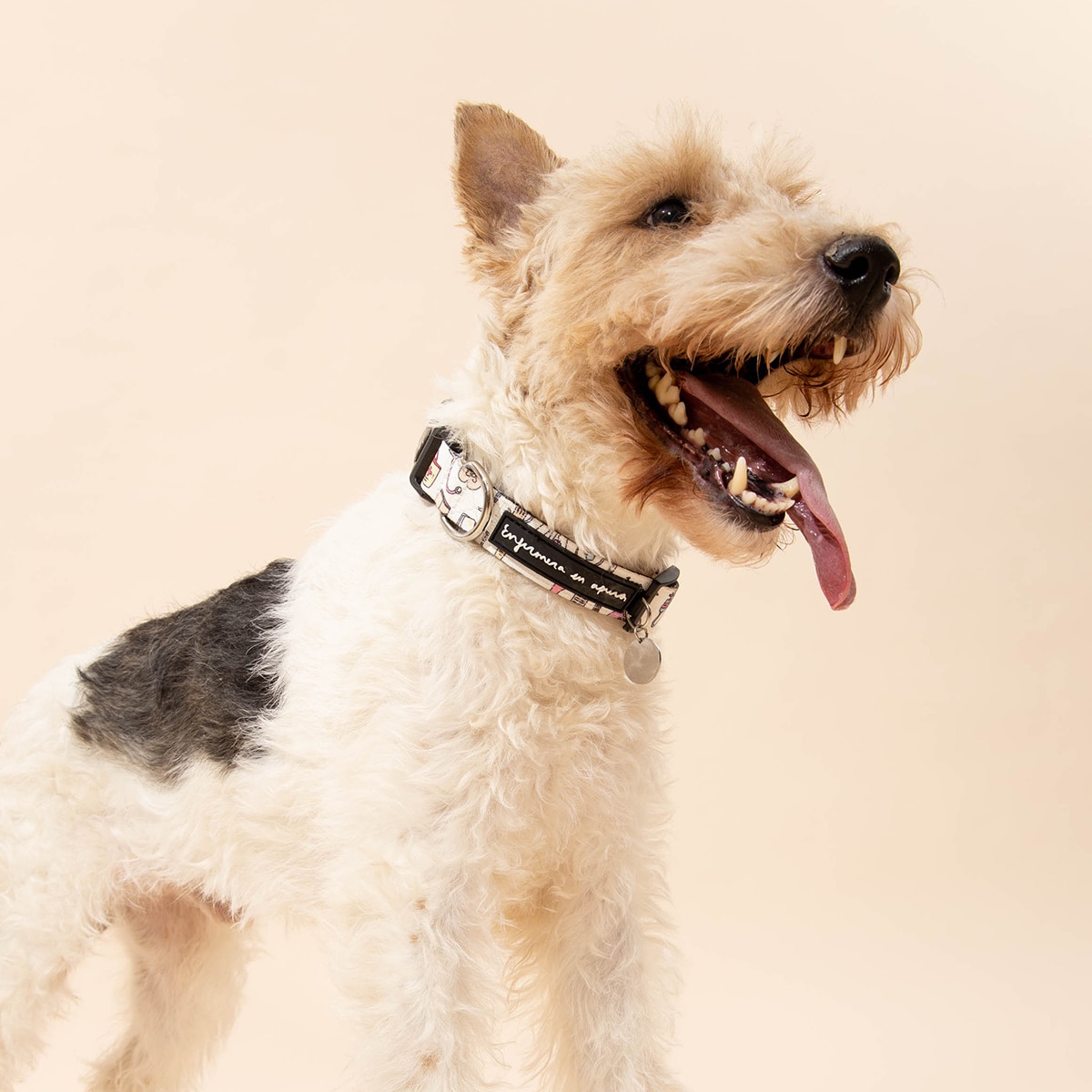 Coleira de cão Coisas de enfermeiros Tamanho M 3