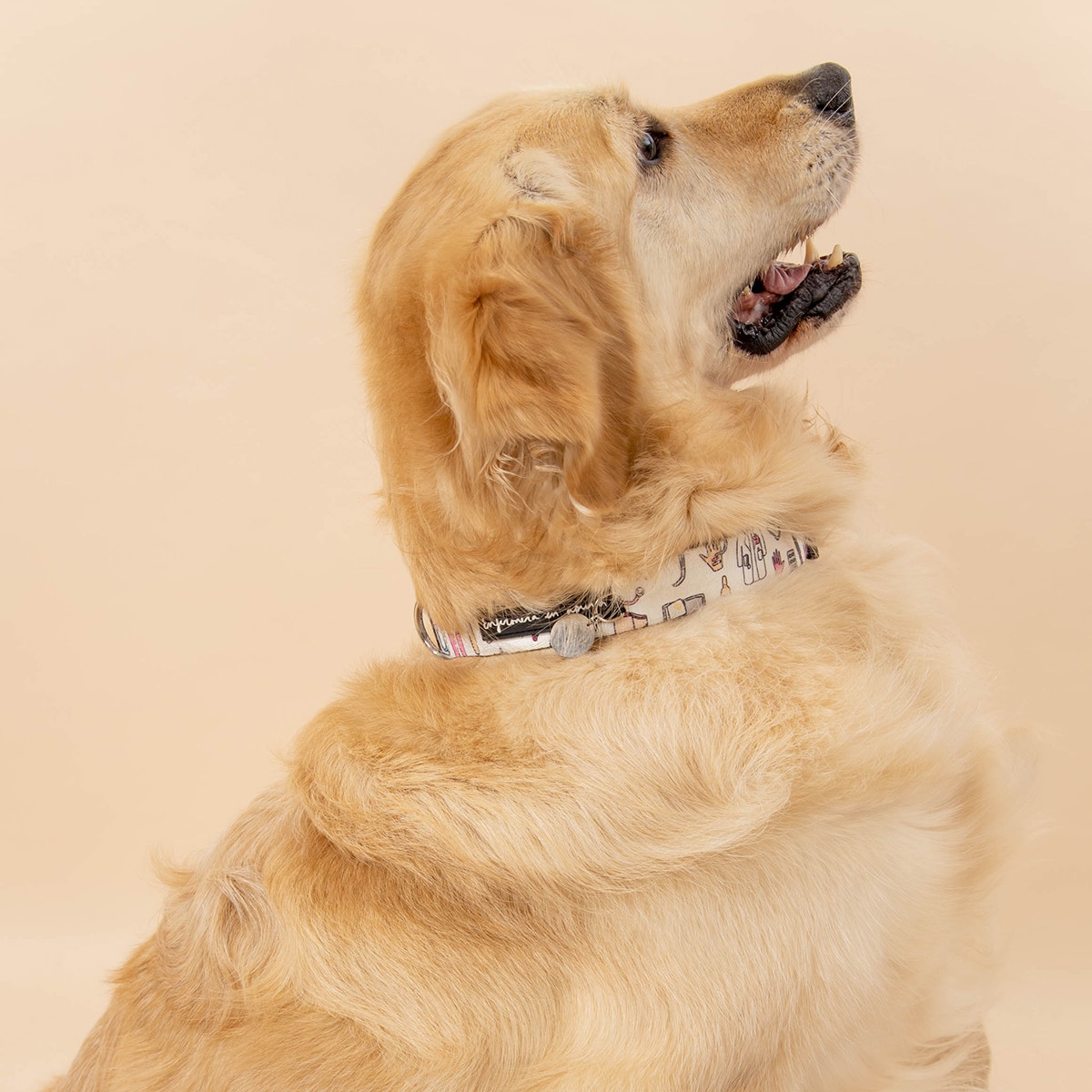 Coleira de cão Coisas de enfermeiros Tamanho L 3