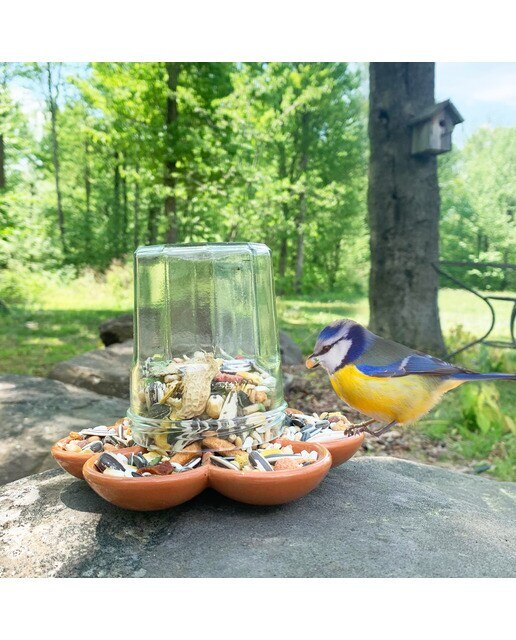 Comedero para Pájaros Flor de Kikkerland 3