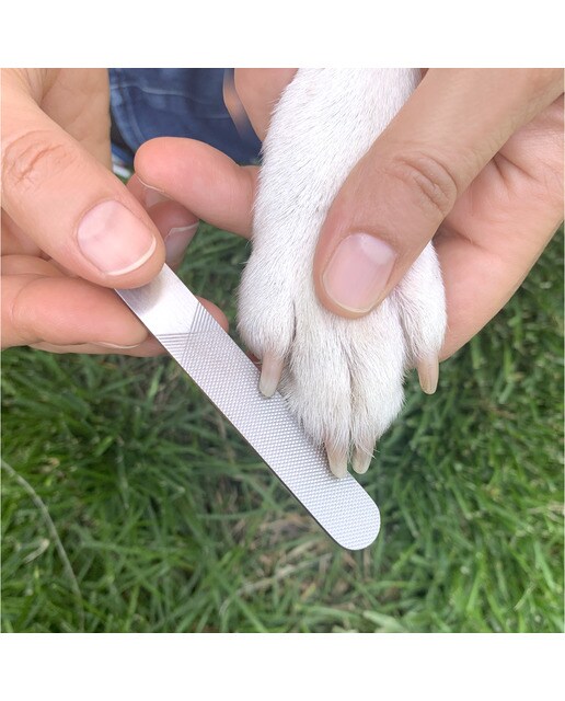 Kit de Spa para Cães 4