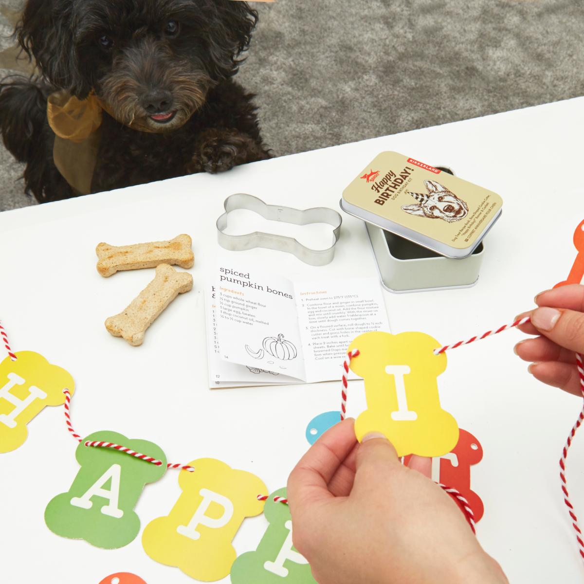 Conjunto Aniversário Papa Cão 2