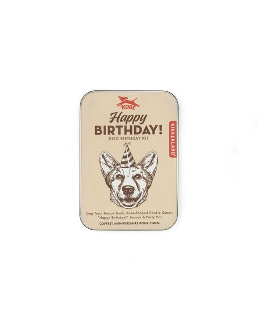Conjunto Aniversário Papa Cão 3