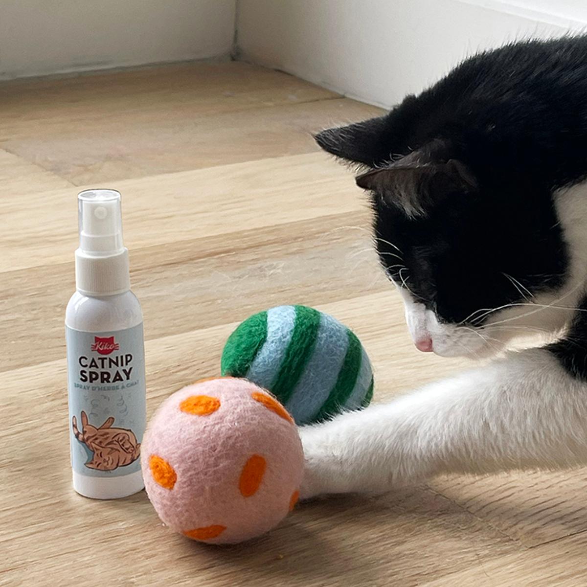 Brinquedo para Gatos de Kikkerland Bola com Spray 2