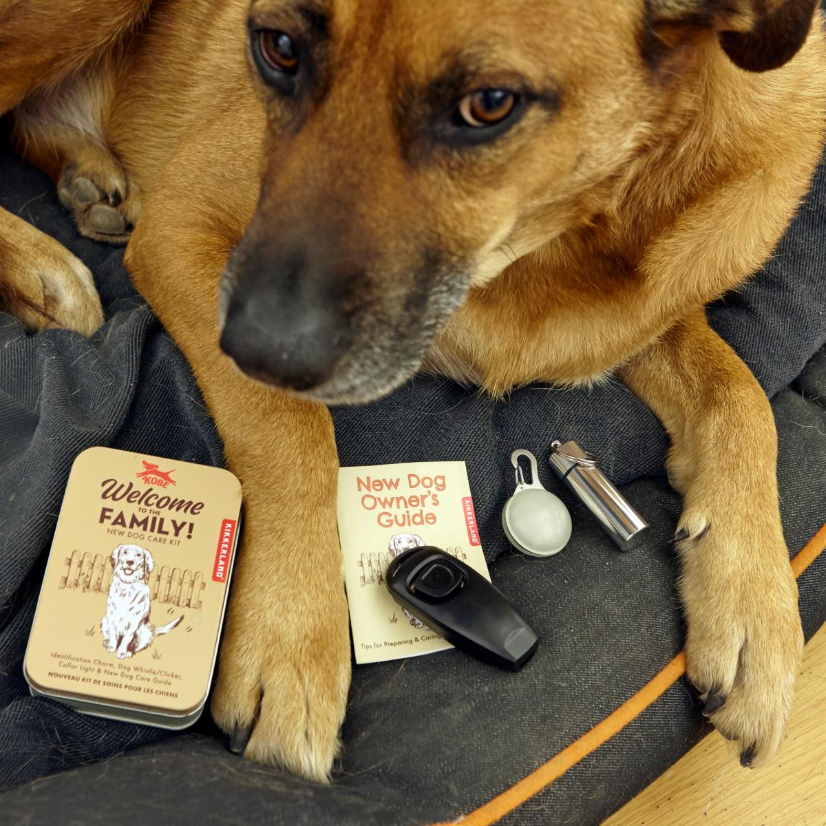 Kit de Boas Vindas para Cachorros de Kikkerland 2