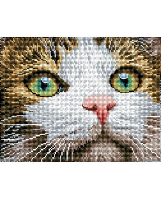 Quadro de Pintura com Diamantes Diamond Dotz Green Eyed Beauty 1