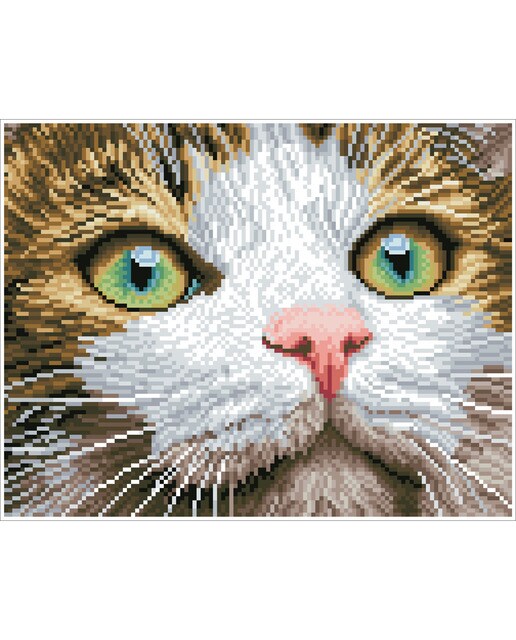 Quadro de Pintura com Diamantes Diamond Dotz Green Eyed Beauty 3