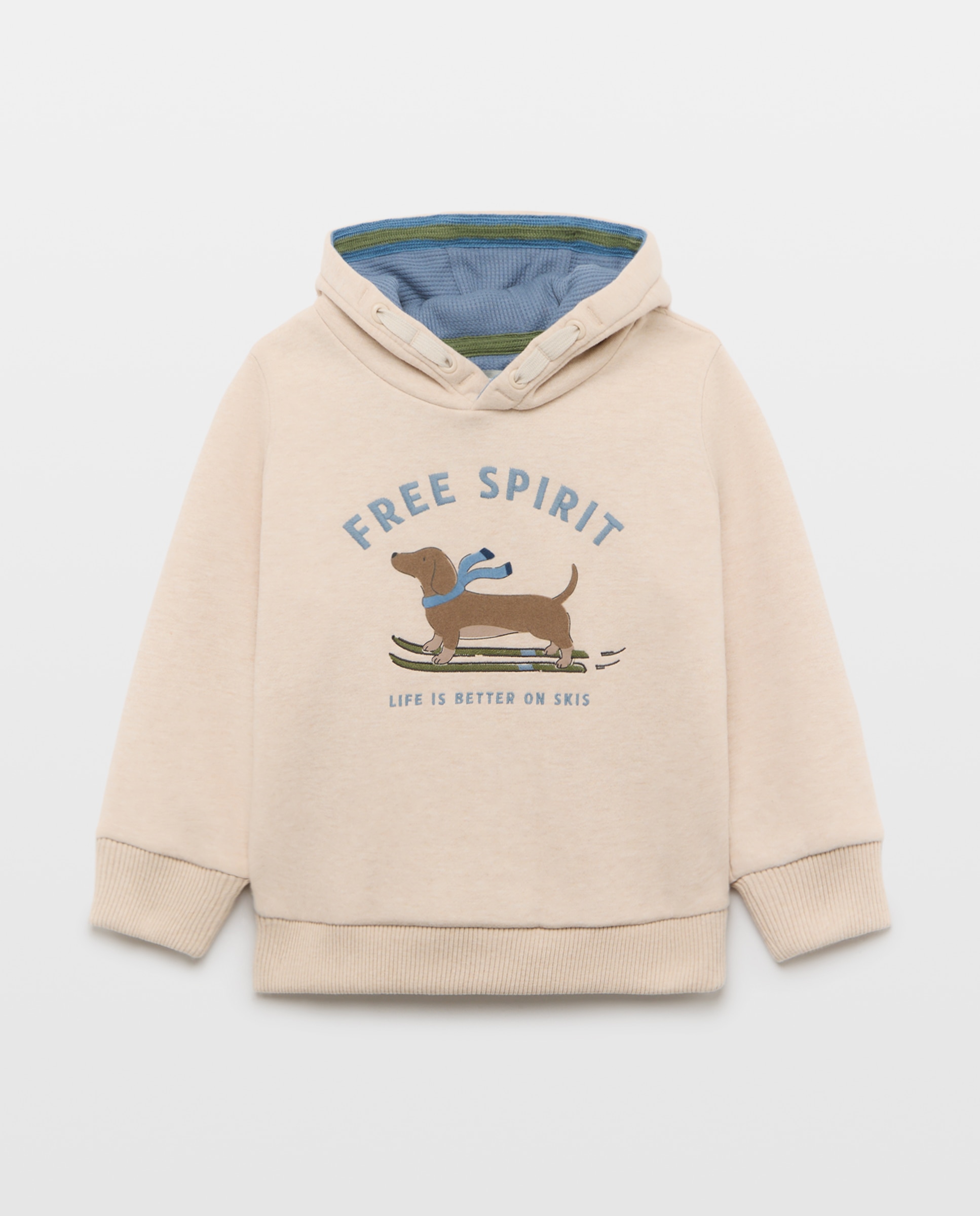 Sweatshirt de Capuz com EStampado de Fantasia Flock e Bordado Torrado-4