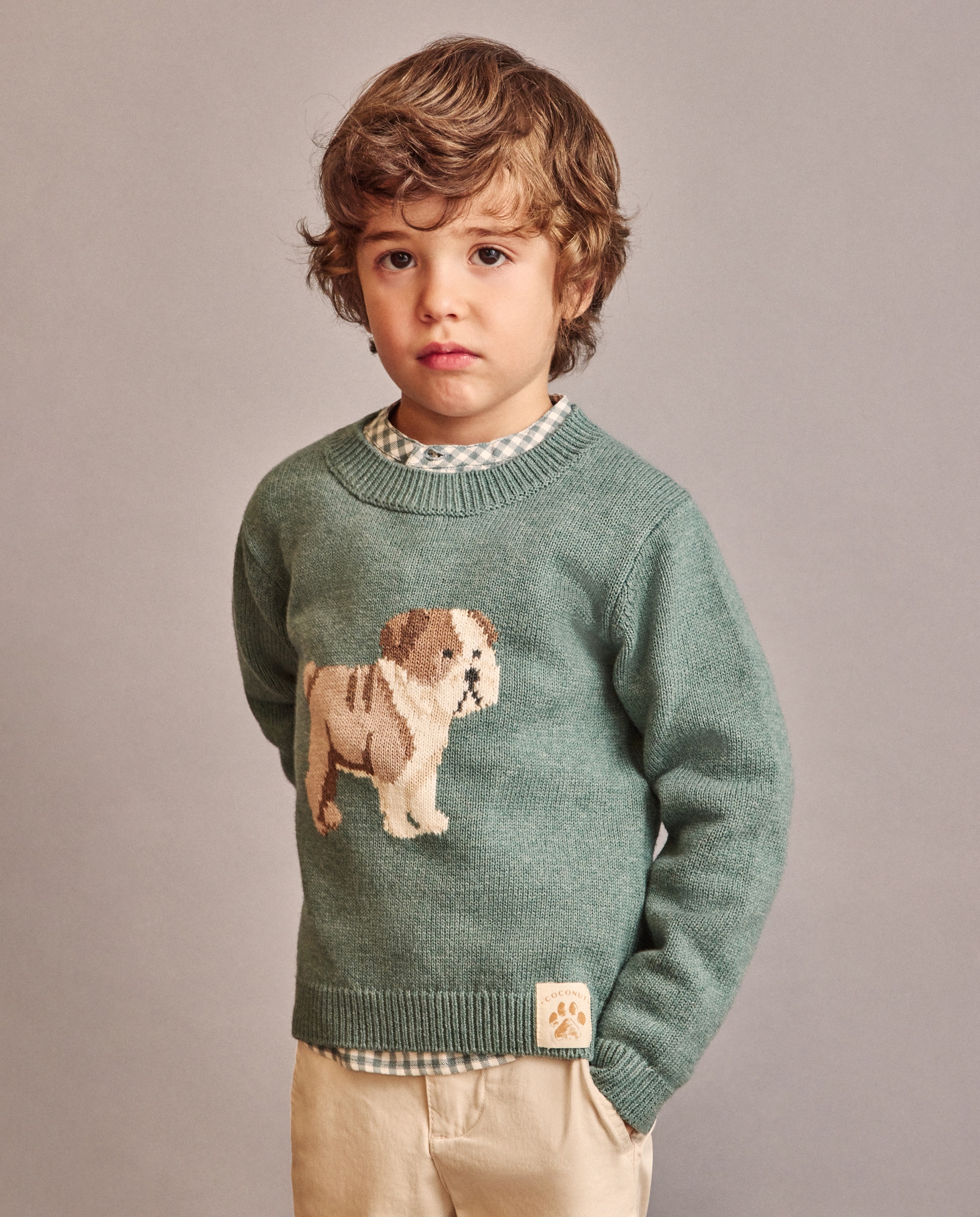 Camisola de Malha com Intársia de Bulldog Coconut El Corte Inglés Verde Bilhar-2