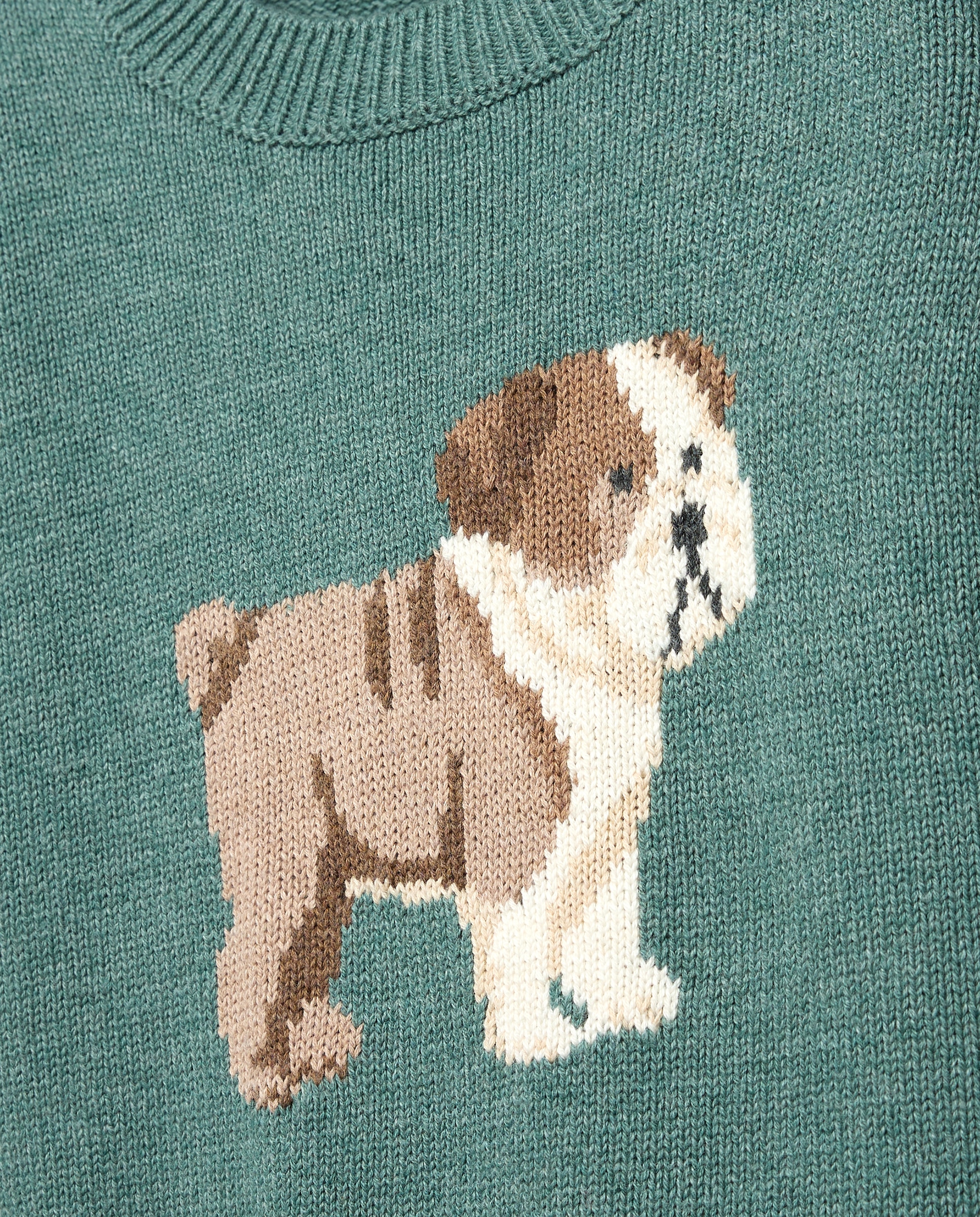 Camisola de Malha com Intársia de Bulldog Coconut El Corte Inglés Verde Bilhar-5