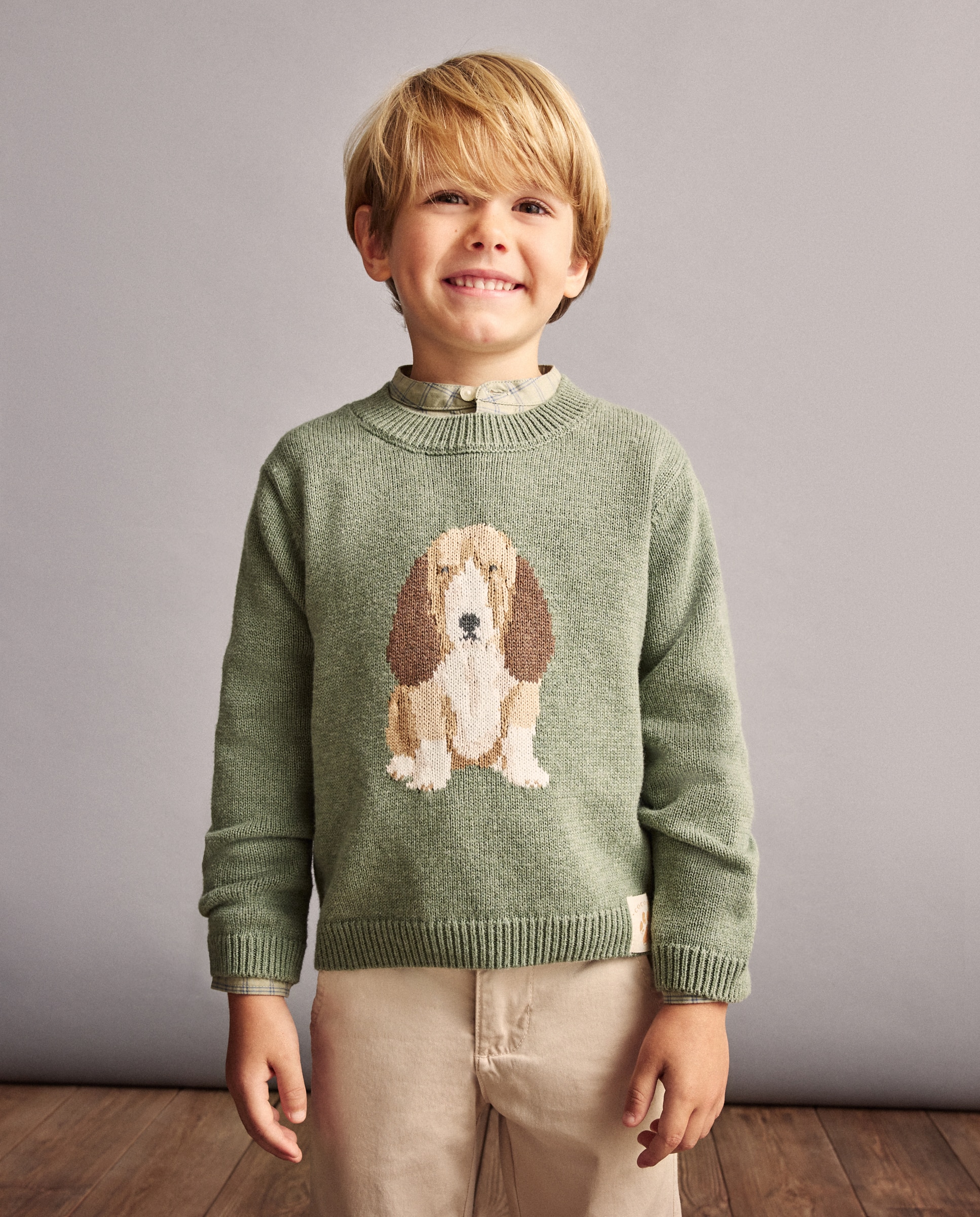 Imagem 0 de Camisola de Malha com Intársia de Basset Hound