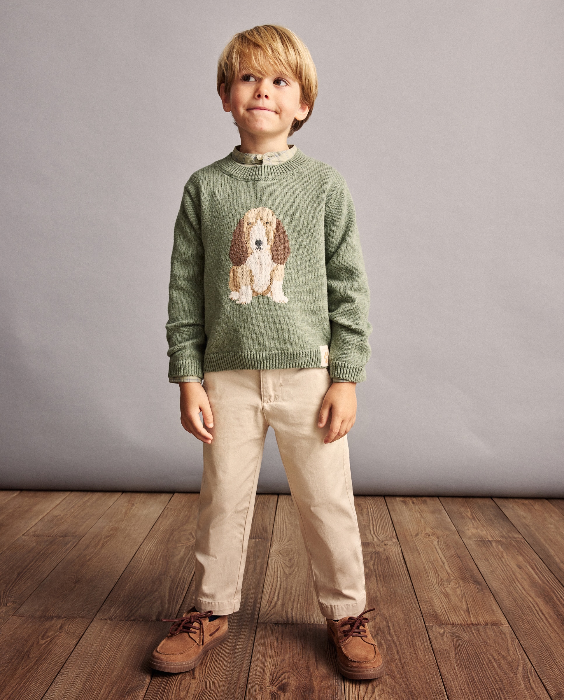 Camisola de Malha com Intársia de Basset Hound 580 Musgo-2