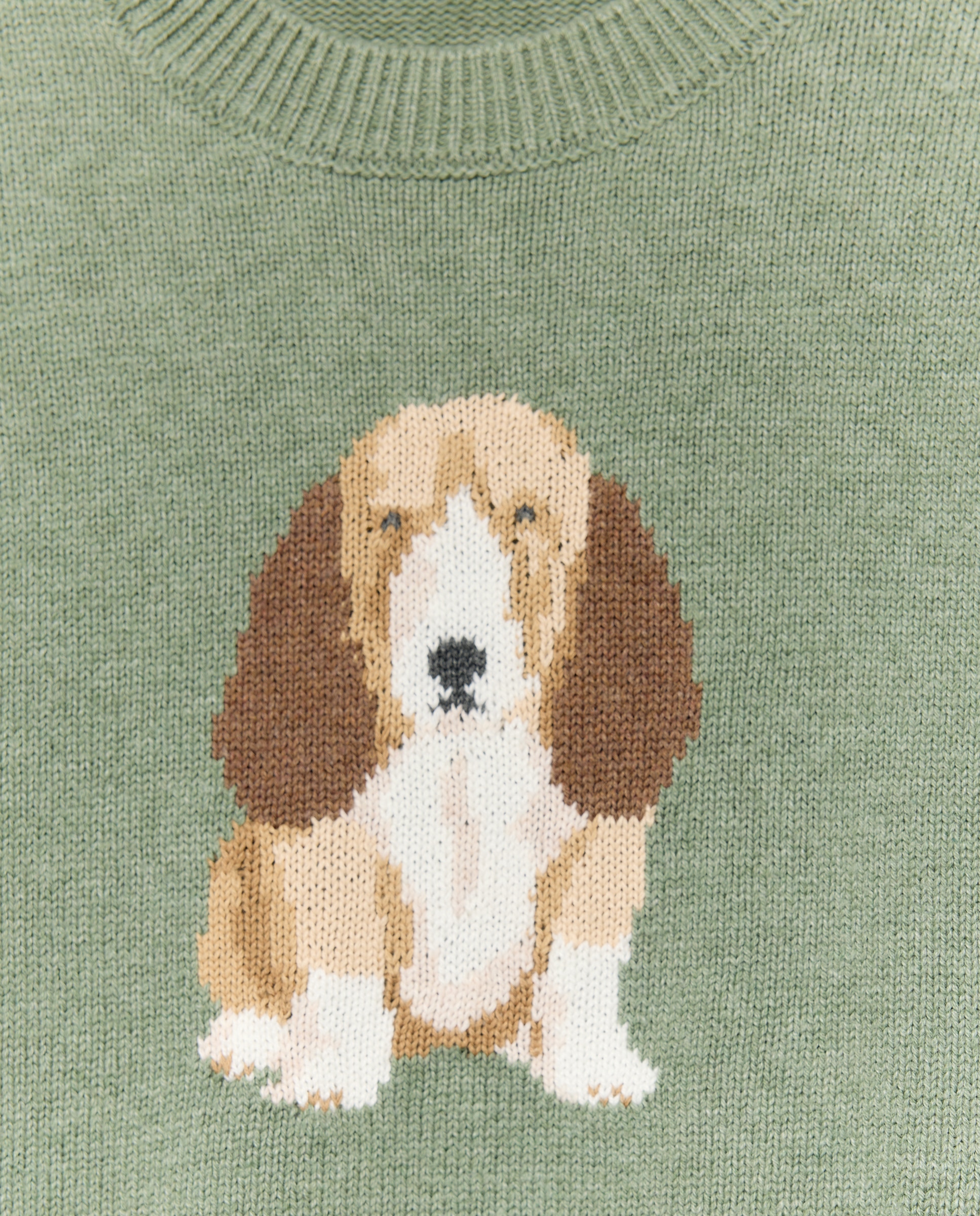 Camisola de Malha com Intársia de Basset Hound 580 Musgo-5
