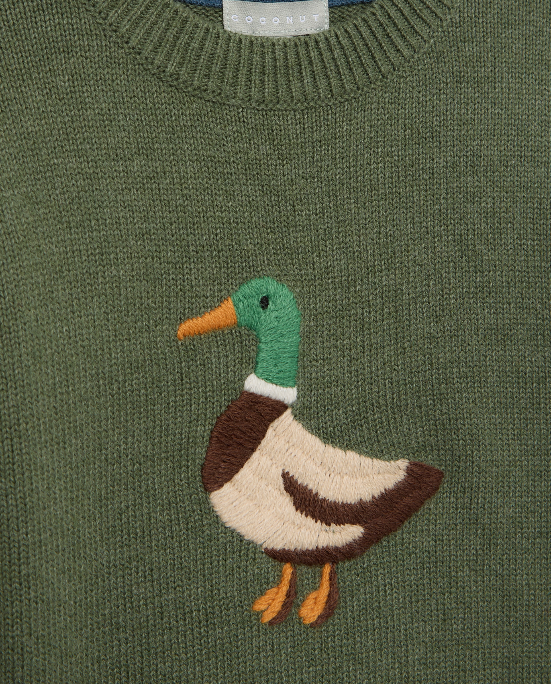 Camisola de Malha Básica com Bordado de Fantasia Kiwi-5