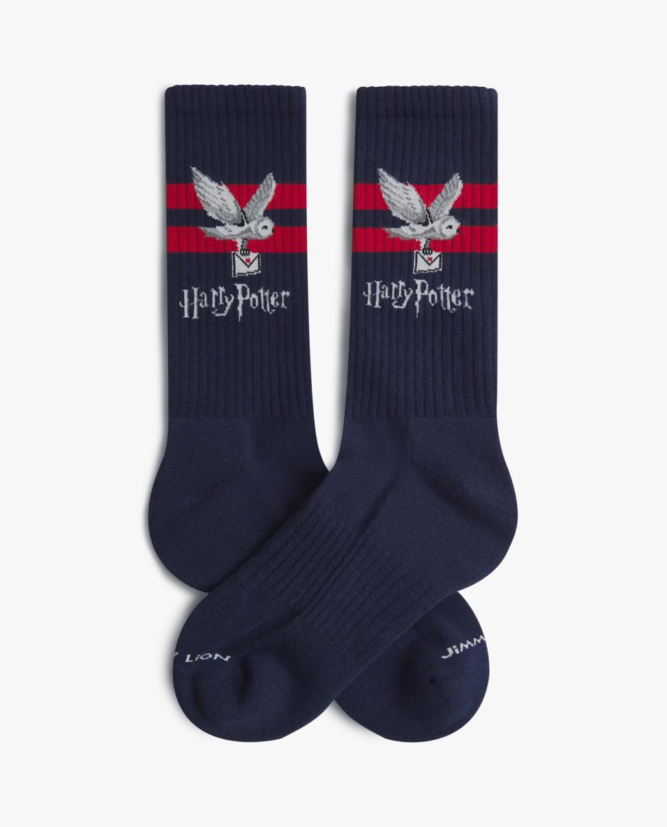 Imagem 0 de Meias Harry Potter Athletic - Azul