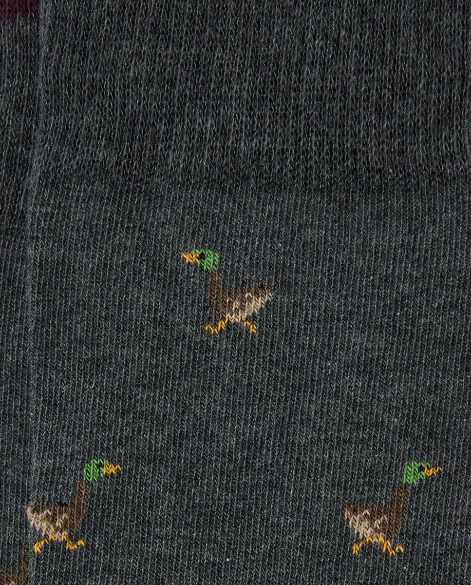 Calcetín regular de caballero - Kiff-Kiff - Gris Gris-2