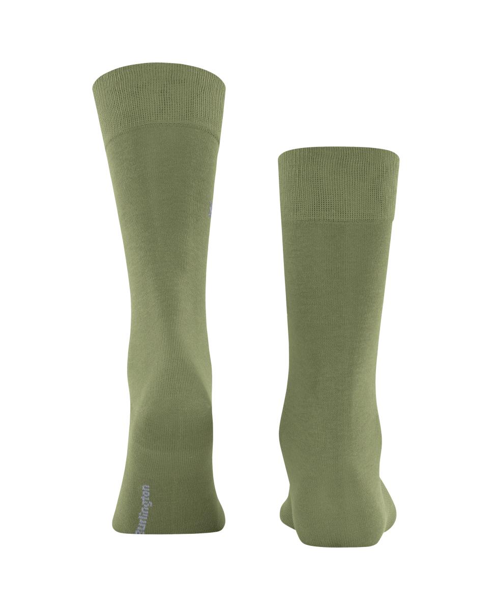 Imagen 2 de Calcetín liso algodón mercerizado de hombre - Burlington - Verde Verde