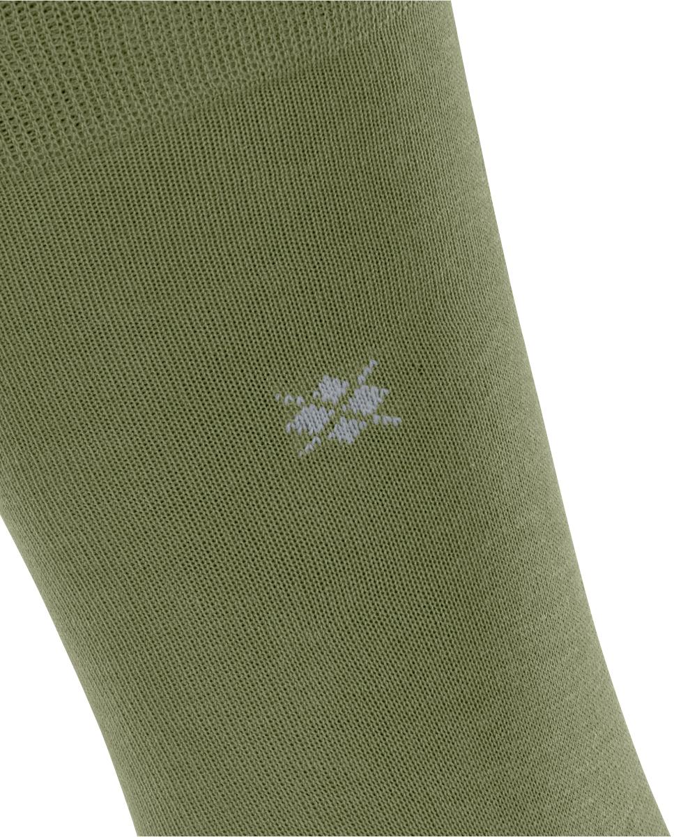 Imagen 5 de Calcetín liso algodón mercerizado de hombre - Burlington - Verde Verde