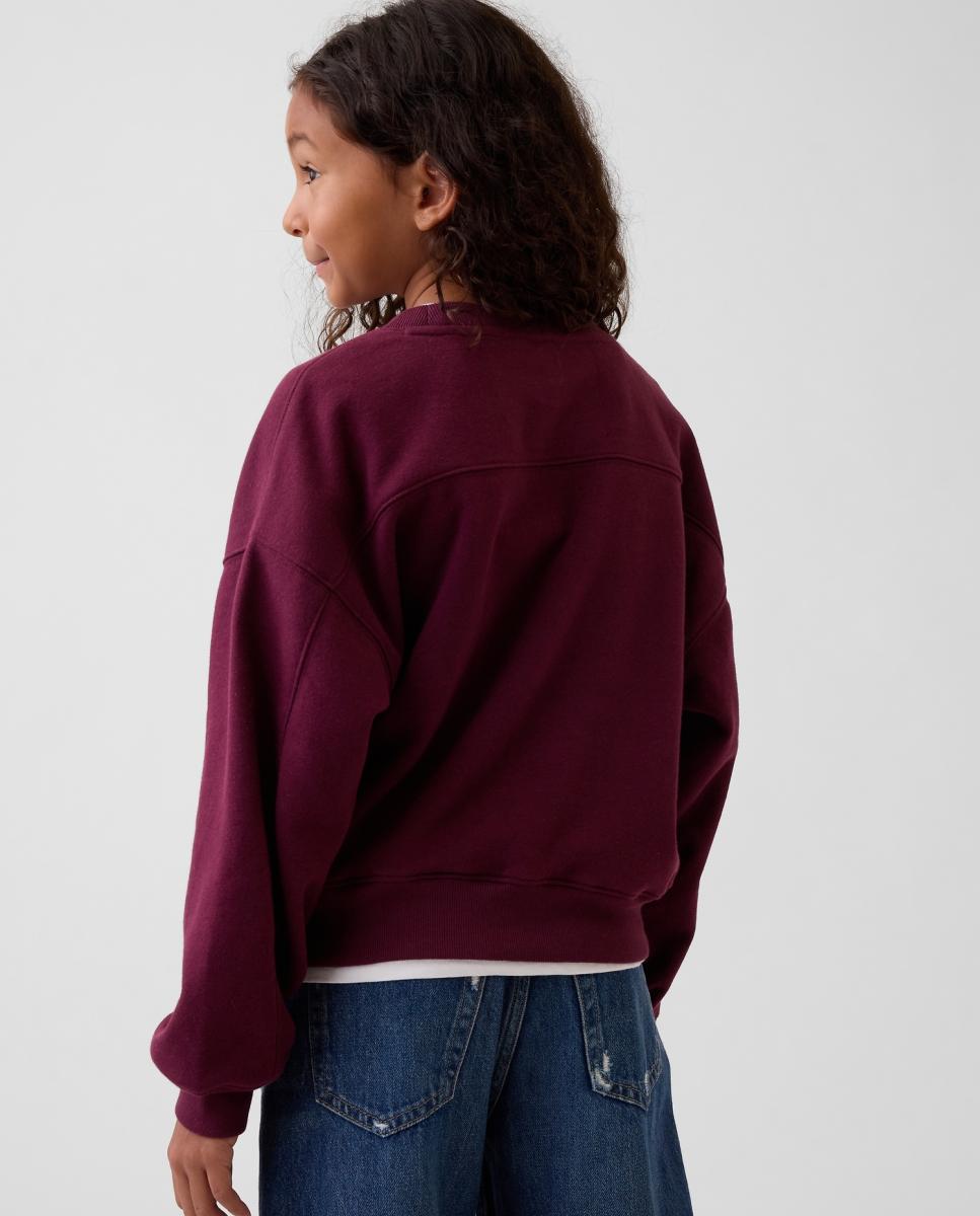 Sweatshirt de Manga Comprida com Pequeno Estampado Grená-3
