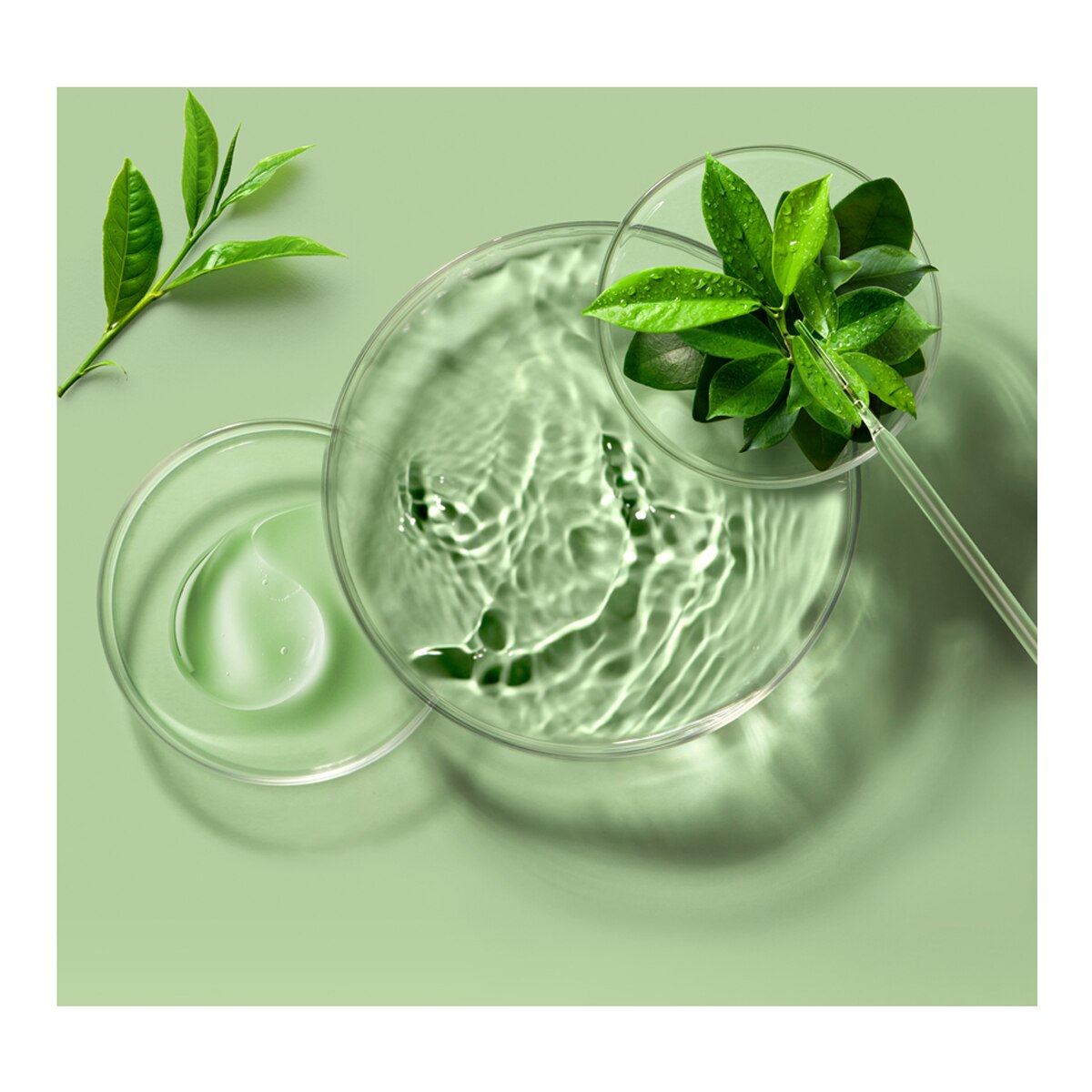 Mascarilla facial purificante Green Tea para pieles mixtas FOREO 20 g 5